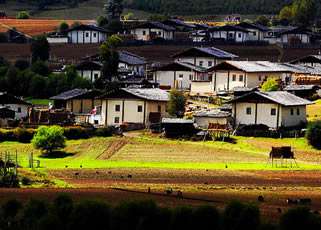 昆明、麗江古城、束河古鎮、虎跳峽、香格裏拉4晚5日旅遊純玩團